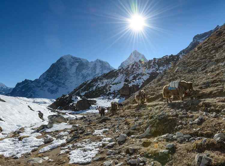 Top 10 best trekking in Nepal