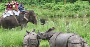 Chitwan Jungle Safari