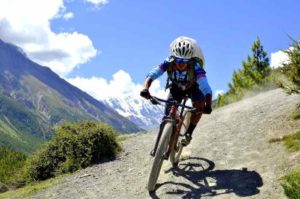 mountain bike rental